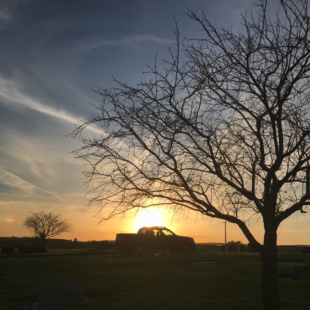 Meet your Posher, Lilyan